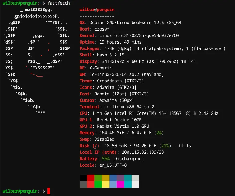 fastfetch for CrOSVM